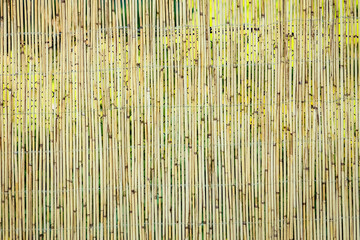 A Beautiful reed fence wall on pyrode background