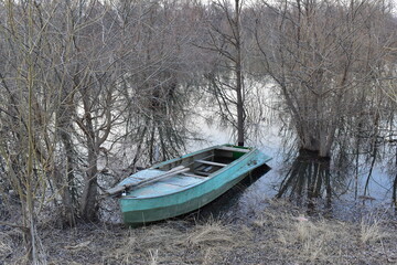 An old boat in a thicket of trees near the river bank in early spring.