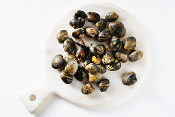 fresh clams on white marble cutting board