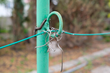 A green iron pillar to support the branches of the grapes