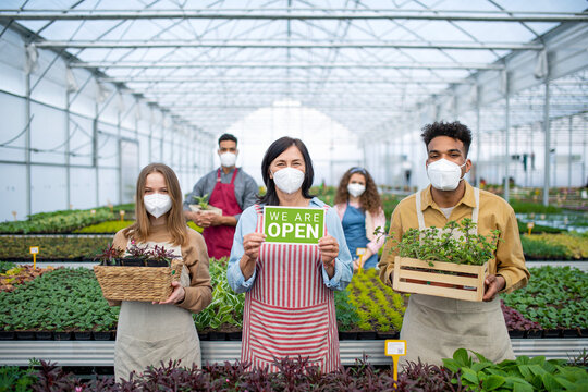People working in greenhouse in garden center, store open after coronavirus lockdown.