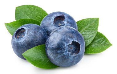Organic blueberry isolated on white background
