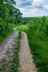 Wanderweg am Waldrand und durch Wiesen und Felder in Hessen.