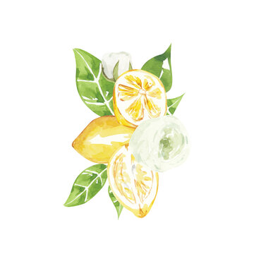 watercolor lemons, leaves, flowers arrangement clip art preview