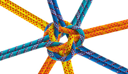 Noeuds de cordes fond blanc  © Unclesam