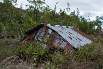 Vieille maison de tôles dans la nature