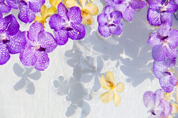 orchid flower on water surface