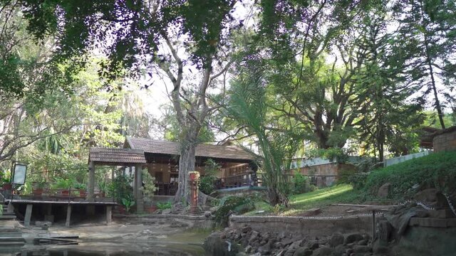 Rich green trees at backyard. Peaceful backyard surrounded by magnificent green trees.