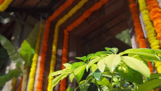 Man playing Indian musical instrument in Indian wedding. Close up Shot of Traditional South Indian musical instrument being played in special Indian occasions. 