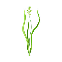 Green Leafy Stem or Stalk with Foliage and Veins Vector Illustration