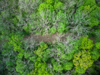 Fototapeta na wymiar Aerial view of a train railroad in the green forest. children's narrow gauge railway