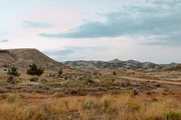 Desert Landscape - Bend, Oregon