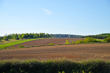 Fototapeta na wymiar Fields and meadows Poland landscape 
