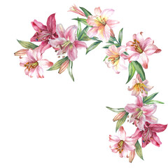 illustration of pink lilies