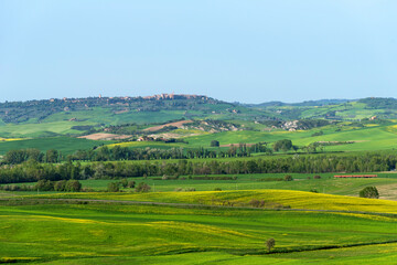 Fototapeta na wymiar Amazing spring view of medieval small town with cypress trees and colorful spring flowers in Tuscany, Italy. Typical Tuscany scenic landscape.