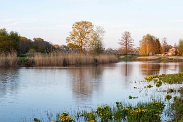 Natural landscape by the river, on a sunny spring evening, with a river, trees and grass. Spring peace and harmony has flourished.