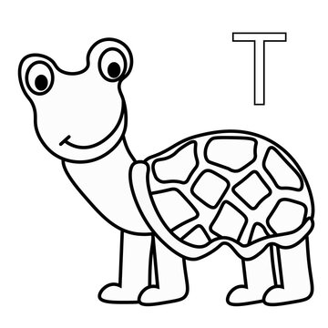 vector turtle Coloring Book for kids . black outline drawing, blank for printing, design, children's book