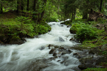 Fototapety  Beautiful view of a stream flowing in a green forest