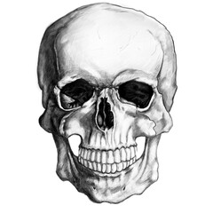 human skull isolated on white background