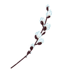 Spring willow twig blooms. Vector hand drawn Easter element isolated on white background.
