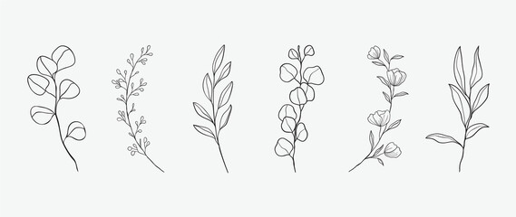 Minimal botanical hand drawing design for logo and wedding invitation. Floral line art.  Flower and leaves design collection for bouquets decoration, card and packaging background.