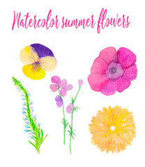 Watercolor wild flowers set isolated, hand drawn flourish clip art, florish elements