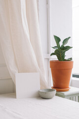 Minimalistic brand identity mockup design. White paper card, plant, ceramic. Stylish bright living room.