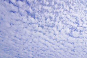 空（うろこ雲、10月、日本）/Autumn sky with cirrocumulus in Japan