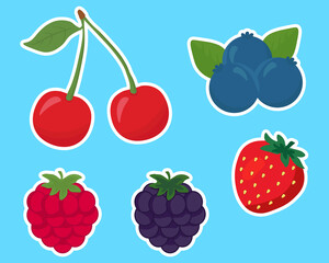 Stickers with cartoon berries. Cute strawberry, raspberry, blueberry, cherry and blackberry. Summer fruits isolated on blue background