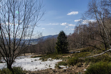 Bieszczady