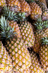 果物屋さんの台湾パイン 伝統市場 Taiwan Pineapples in Traditional market