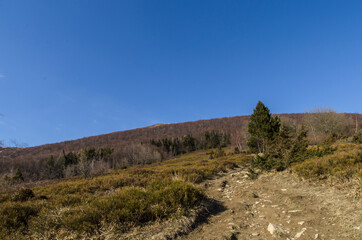 Bieszczady 