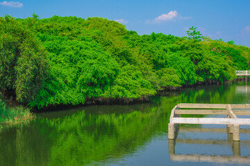 lake in the park