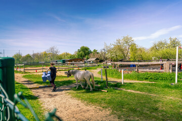 Frau mit Pferd.