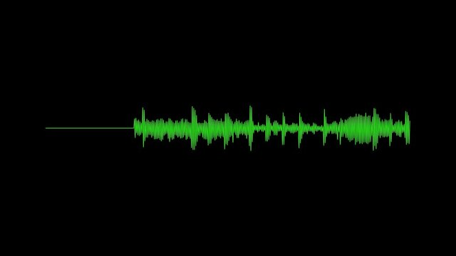 Green oscillogram on a black monitor screen. Digital interpretation of sound.