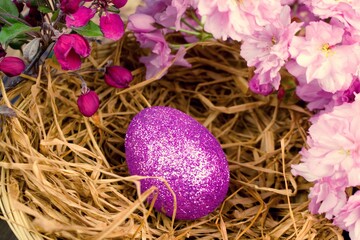 Obraz na płótnie Canvas One egg decorated with violet glitter and branches of ornamental cherries.