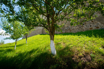 green trees and blue sky in a beautiful visit to the ancient stone fortress - 433395699