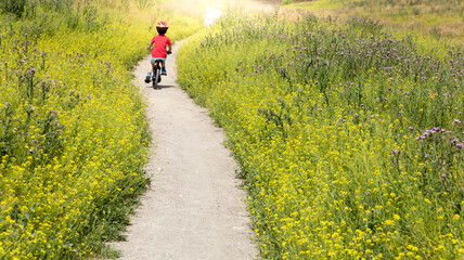 Obraz premium Boy cycling on a dirt road surrounded by flowers. Boy riding a bike outdoors in helmet