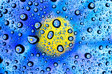 Spring background or texture of water drops on glass with blue and yellow flower refracted in them