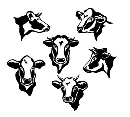 Cows Cattle Portraits silhouettes set