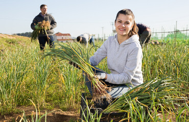 Positive woman harvests garlic on the field. High quality photo