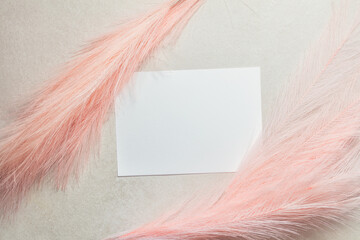 pink artificial p pampas grass with flatley composition with postcard for space for your text