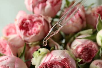 Rose essential oil falling from glass dropper