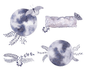 Watercolor set of decorative compositions. Monochrome elegant illustrations with herbs, moth, old paper, moon.
