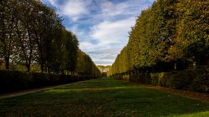 An almost empty alley in the garden of Versailles castle, with a beautiful grass and a clear cloudy...