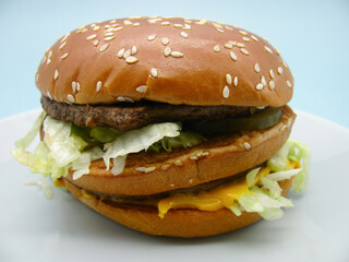 hamburger with beef and vegetables on a plate.