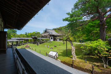 京都　高台寺　開山堂　新緑