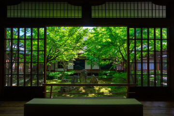 京都　建仁寺　潮音庭（ちょうおんてい）の新緑