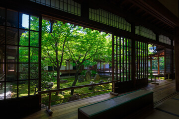 京都　建仁寺　潮音庭（ちょうおんてい）の新緑　　　