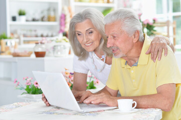  senior couple using  laptop  at home